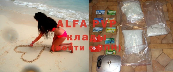 стаф Абаза