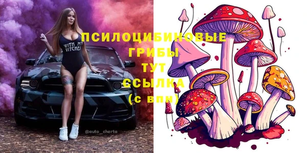 стаф Абаза